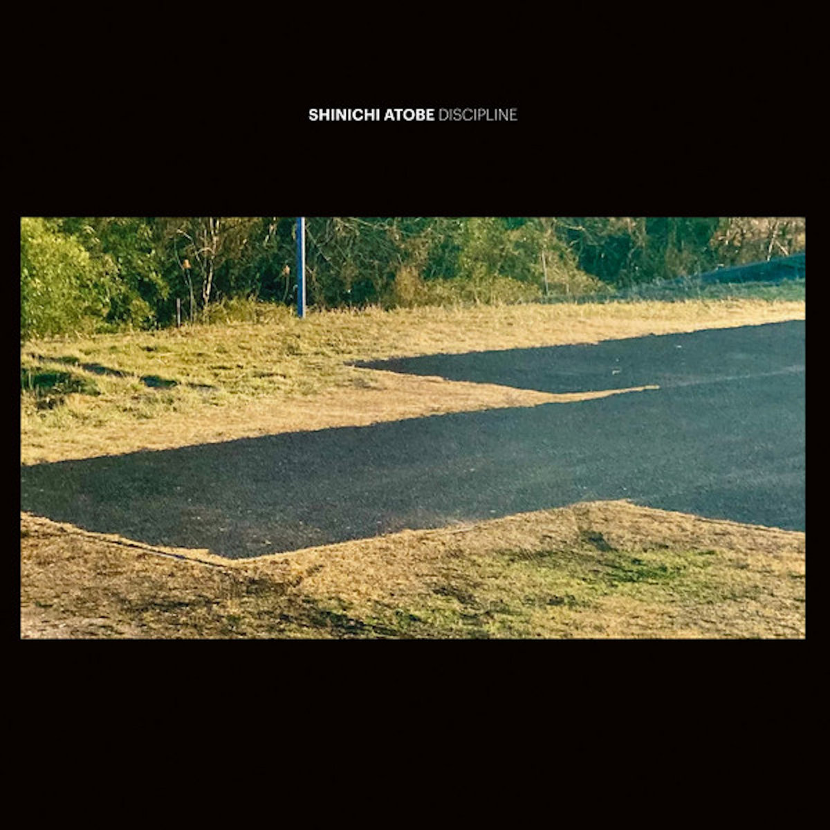 その他 Assertive Discipline [CD] Discipline | Shinichi Atobe | DDS