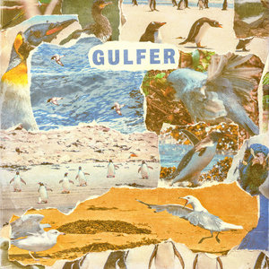 Gulfer cover