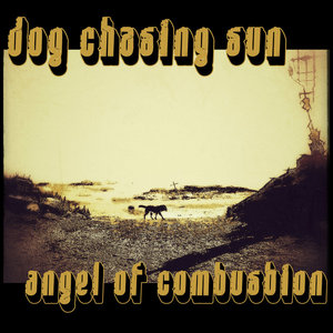 Angel of Combustion cover