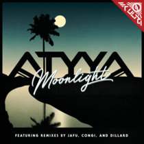 Moonlight (ft Jafu, Congi & Dillard) cover art