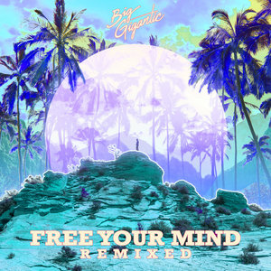 Free Your Mind Remixed cover