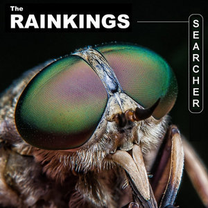 Searcher cover
