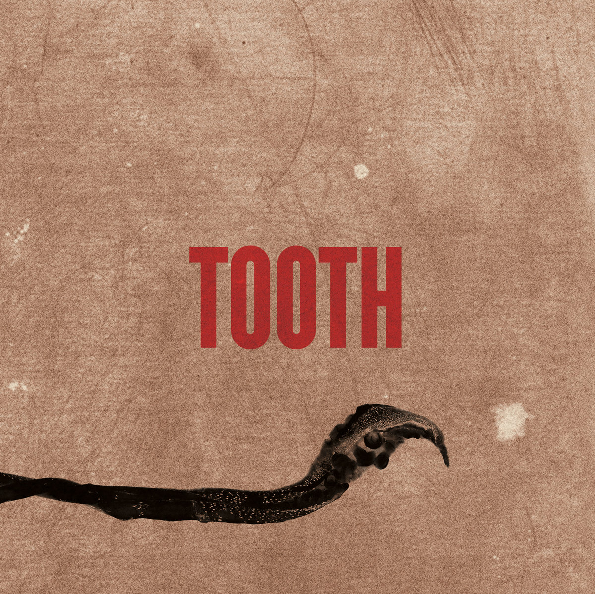 TEETH アルバム CD プロモーションコピー Tooth | Tooth