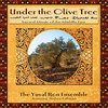 Under the Olive Tree