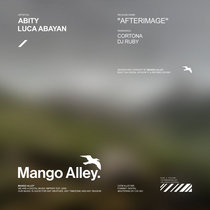 ABITY & LUCA ABAYAN — Afterimage