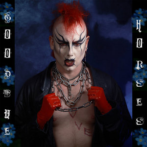 Goodbye Horses cover