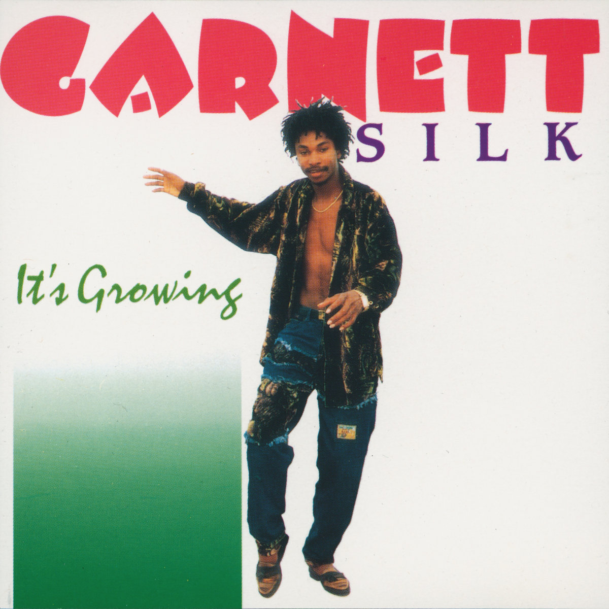 GARNETT SILK【It's Growing】 It's Growing | Garnett Silk | VP Records