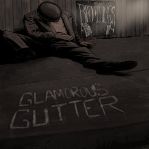 Glamorous Gutter cover