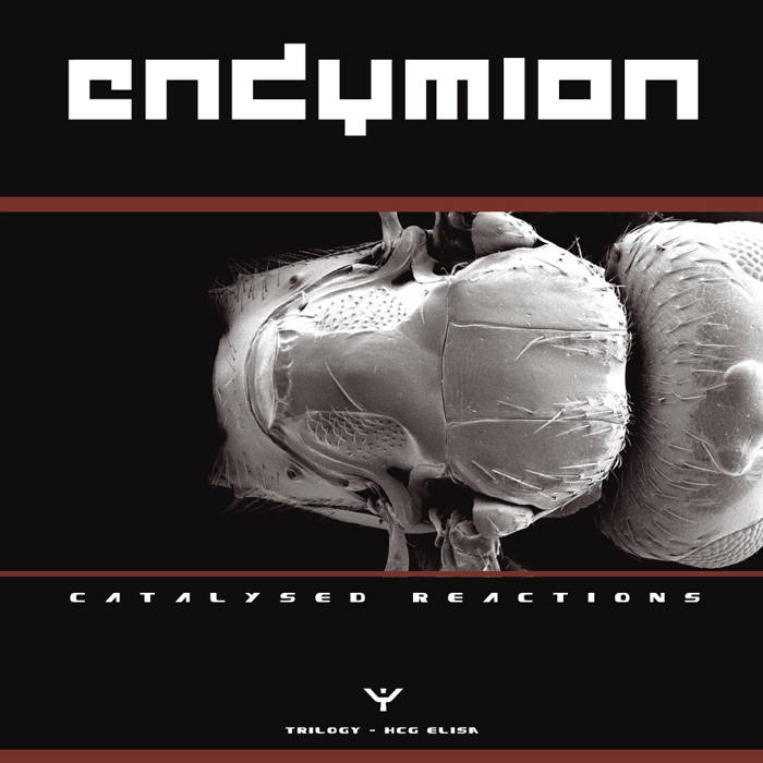 Catalysed reactions (Part 2) | Endymion | Enzymerecords