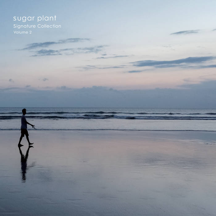 Signature Collection Volume.2 | sugar plant | KiliKiliVilla