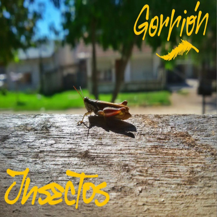Roron Insecto Insectos (Single) | Gorrión