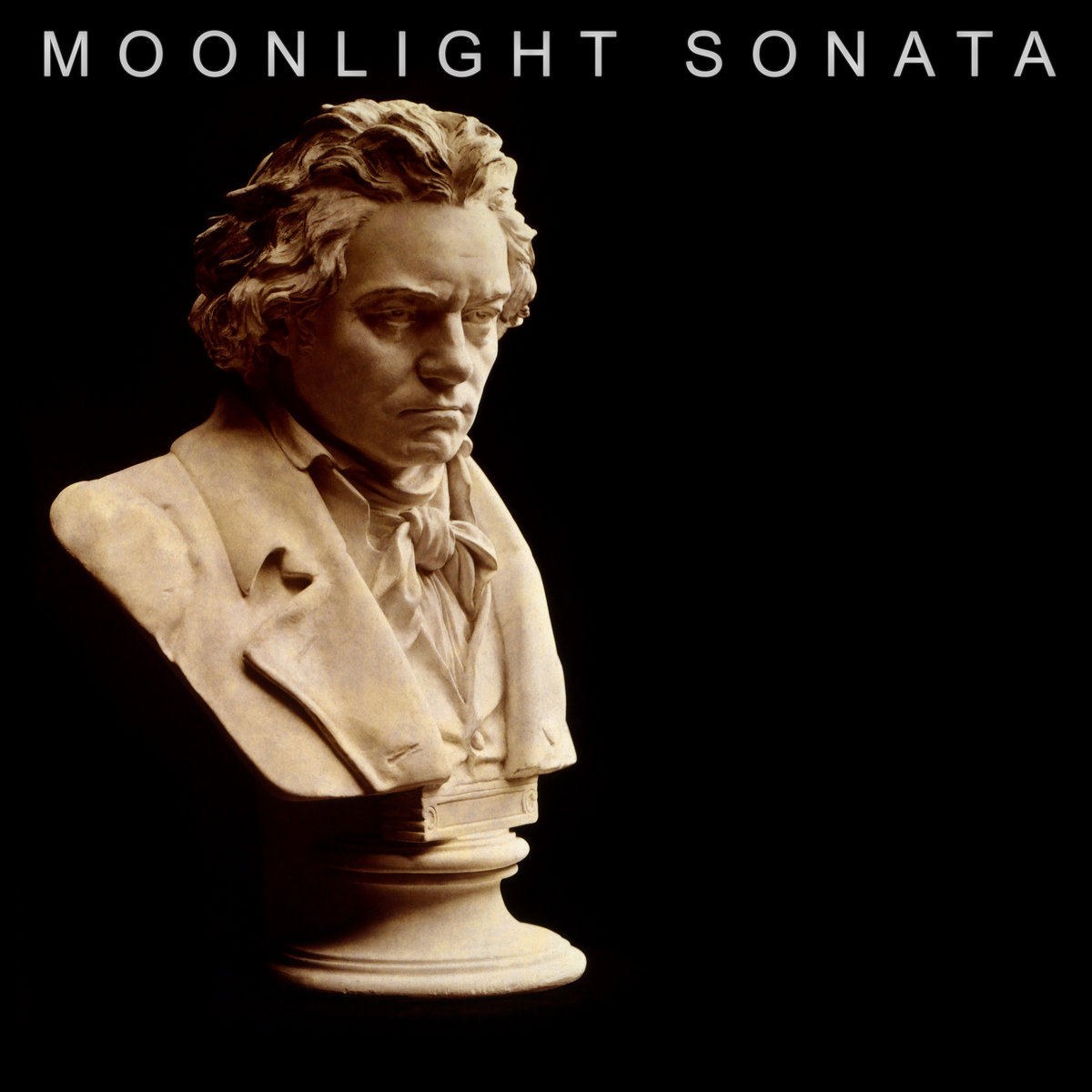 Piano Sonata No.14 in C sharp minor Op.27 No.2 Moonlight | Digital Front