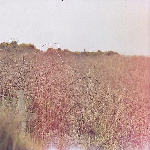 Season Sounds cover