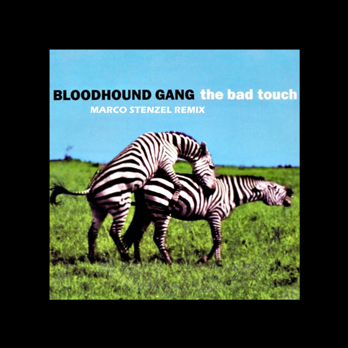 Bloodhound Gang The Bad Touch Marco Stenzel Remix Marco Stenzel