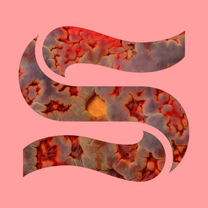 Neptunes EPKaitlyn Aurelia Smith & Joe Goddard cover