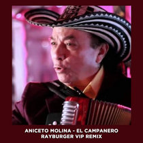Aniceto Molina - El Campanero (RayBurger VIP Remix) cover art
