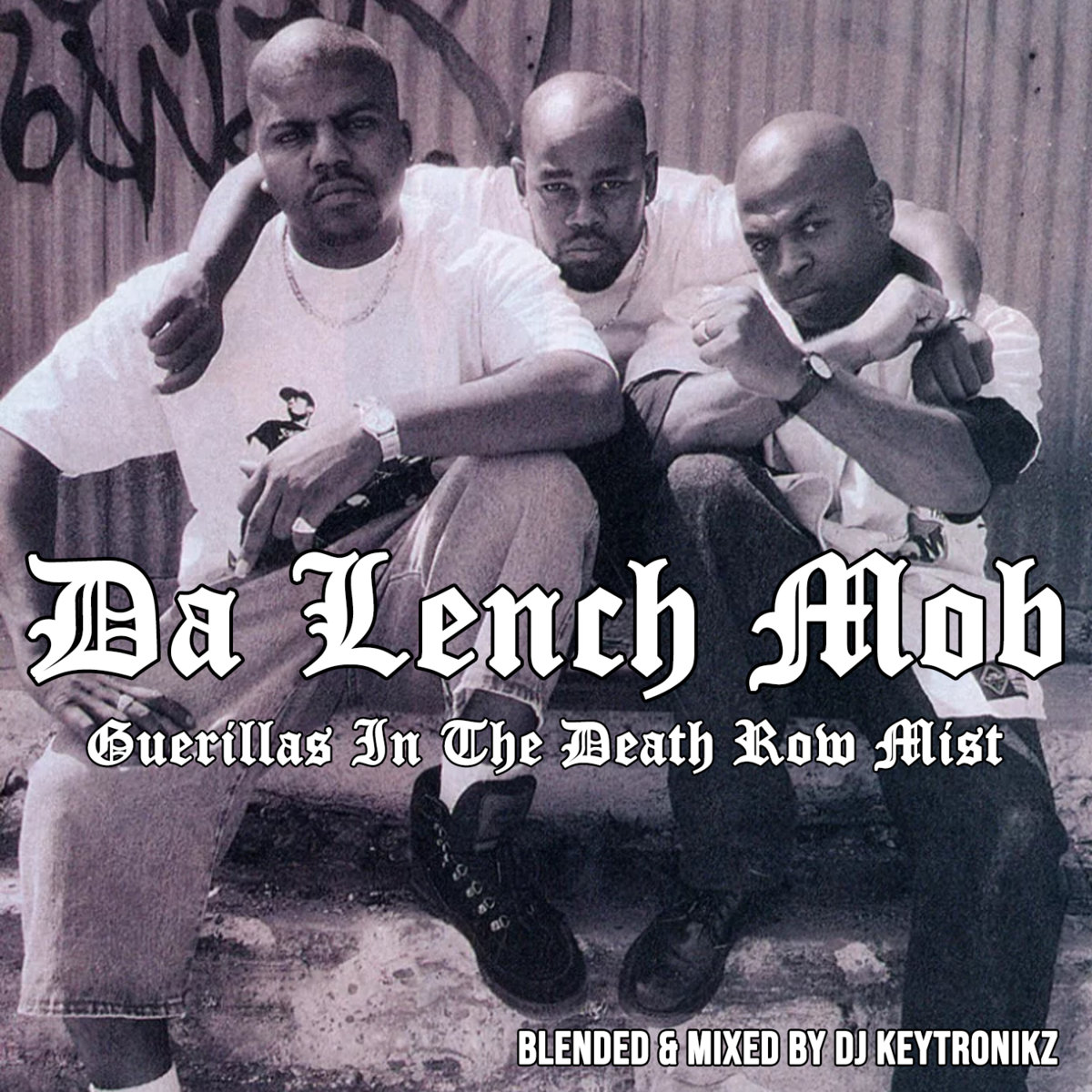 Da Lench Mob Guerillas In Tha Mist Download Guerillas In The Death Row Mist | Da Lench Mob | Imagination Blends