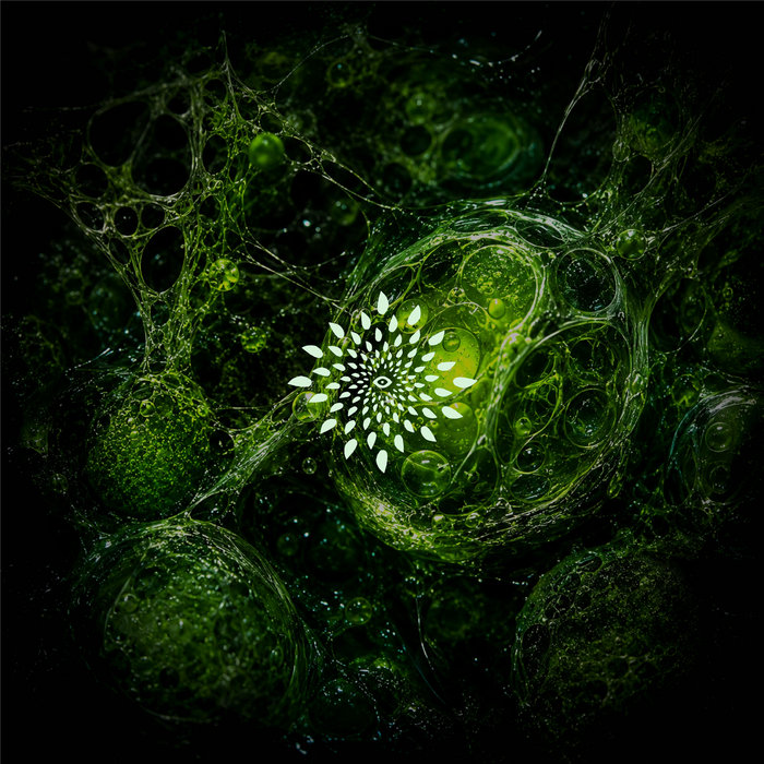 Pochette de Neuroplasticity par Mirror Neuron