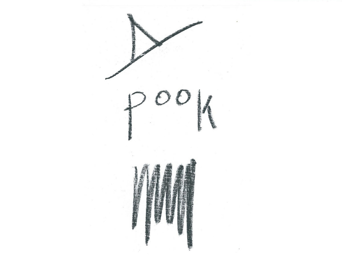 Pook The Destroyer cover