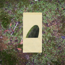 following the lichen into the brush cover art