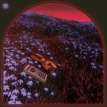 Foam cover art