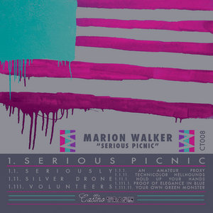 Serious Picnic cover