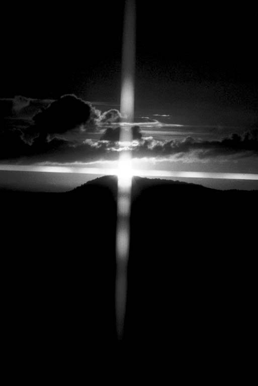 Blades of Grass and Pure White Stones Cole Armour