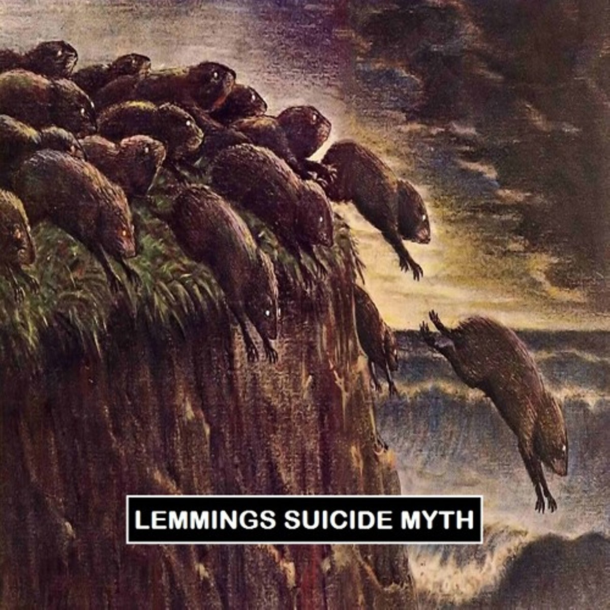 Do Lemmings Really Commit Mass Suicide?