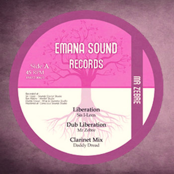 Music Mr Zebre music mr zebre