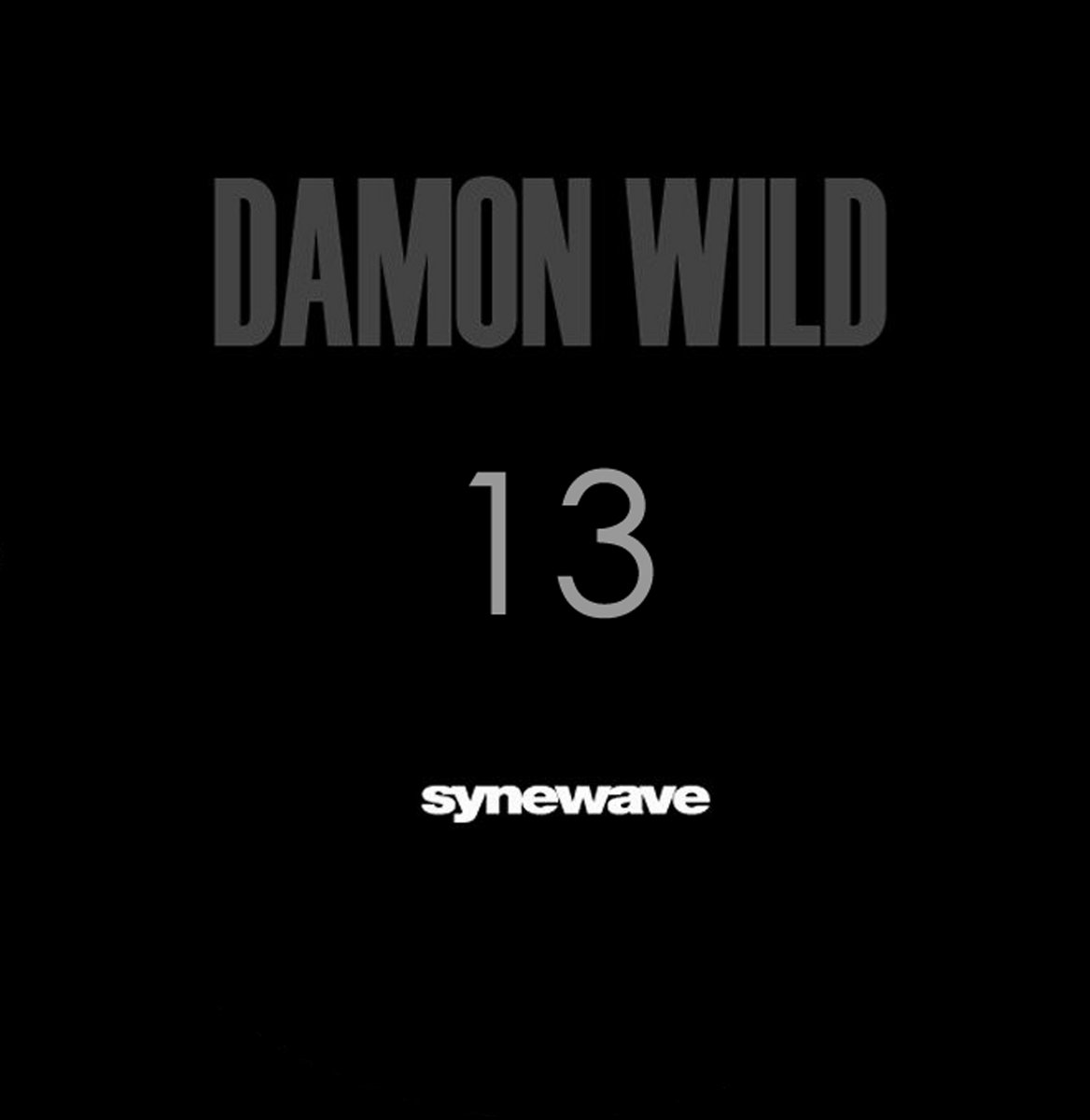 Damon Wild (NY) 11作　レコード The Mood Machine (SW126) | Damon Wild | Synewave