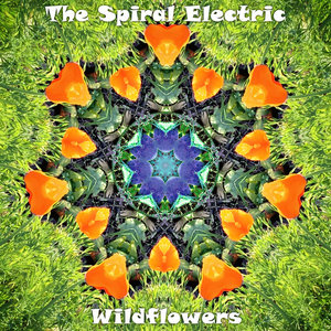 The Spiral Electric — Wildflowers