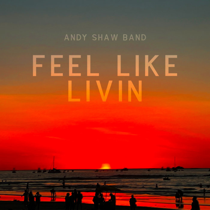 Andy Shaw Band