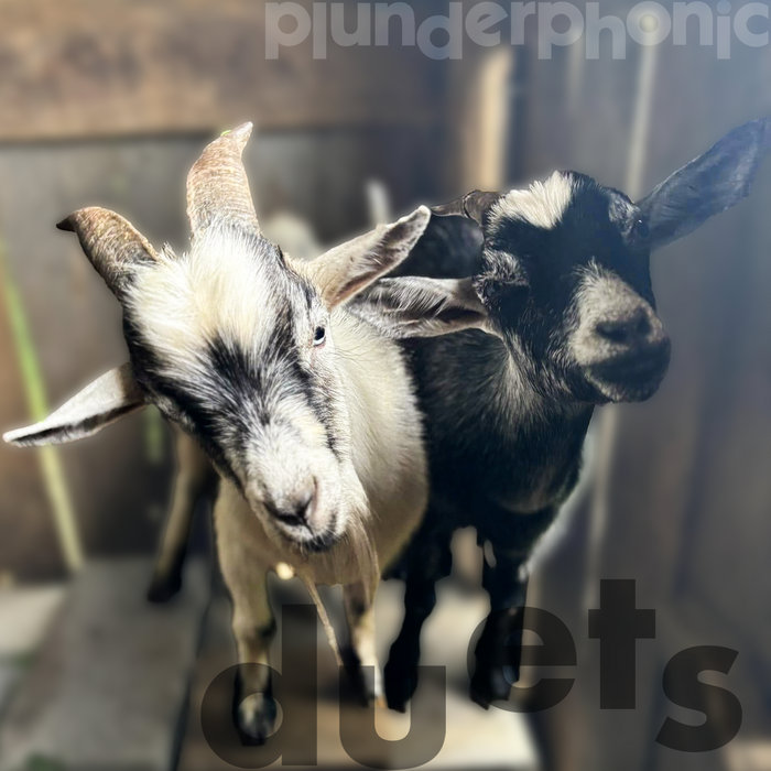 plunderphonicDUETS - tooBillies | plunderphonics