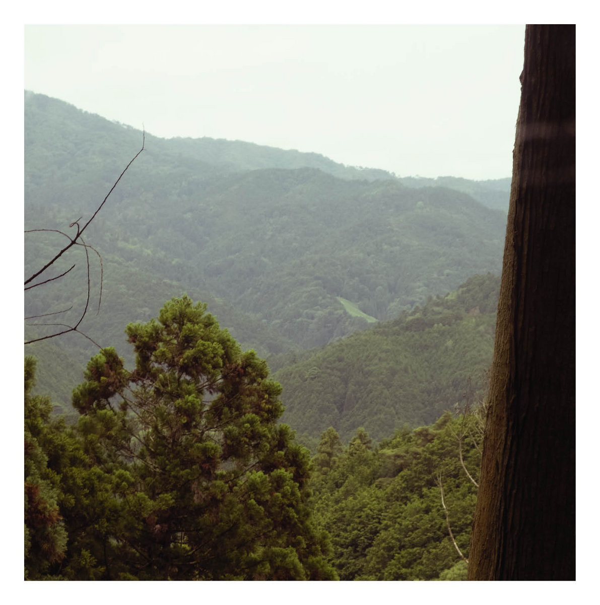 In Hirokazu-san's Office, Dried Tea Leaves Are Waiting to Speak (Soundscape)