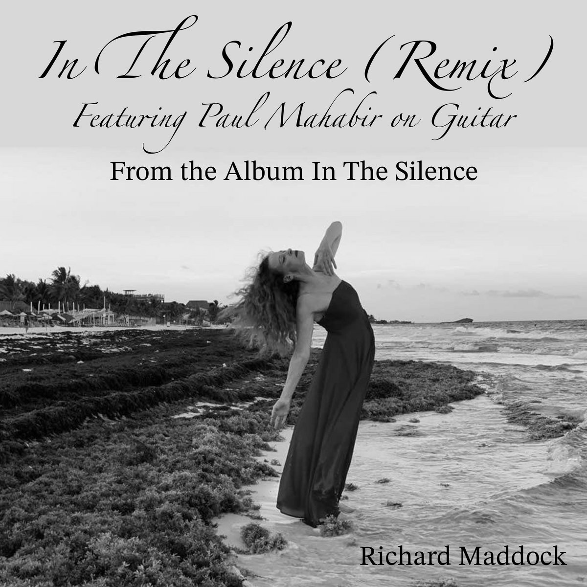 In The Silence (Remix)