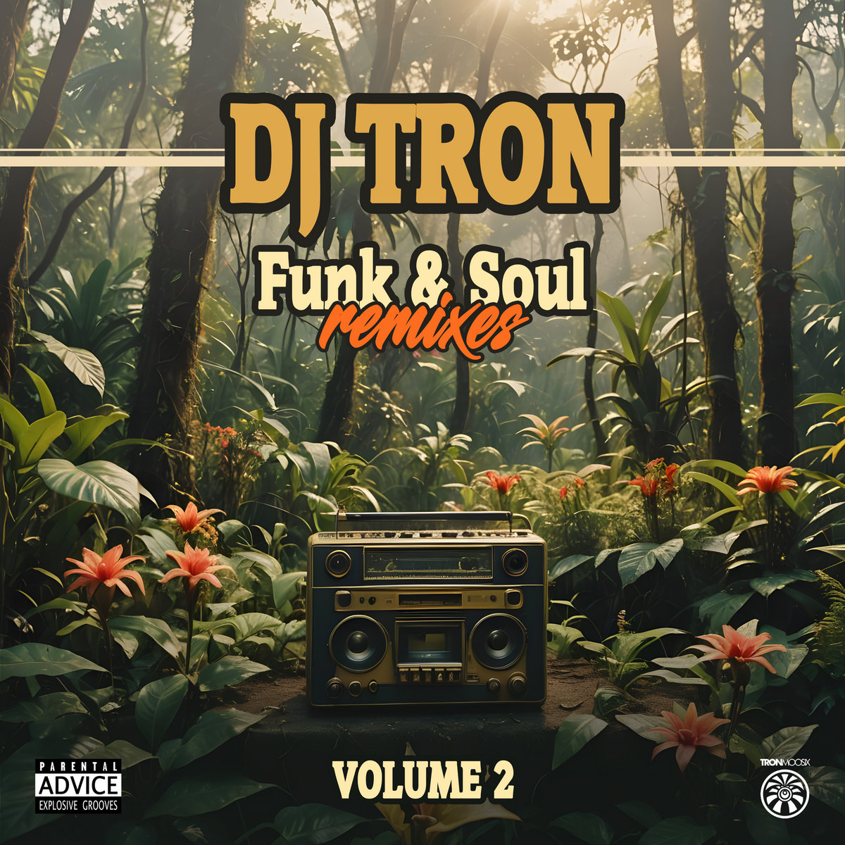 Funk & Soul Remixes Vol.2 | DJ Tron