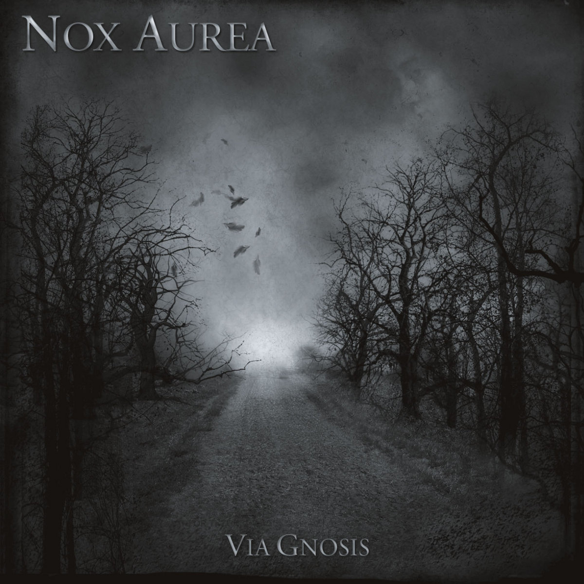 Via Gnosis | Nox Aurea