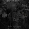Wounded Beyond the Flesh (Split)