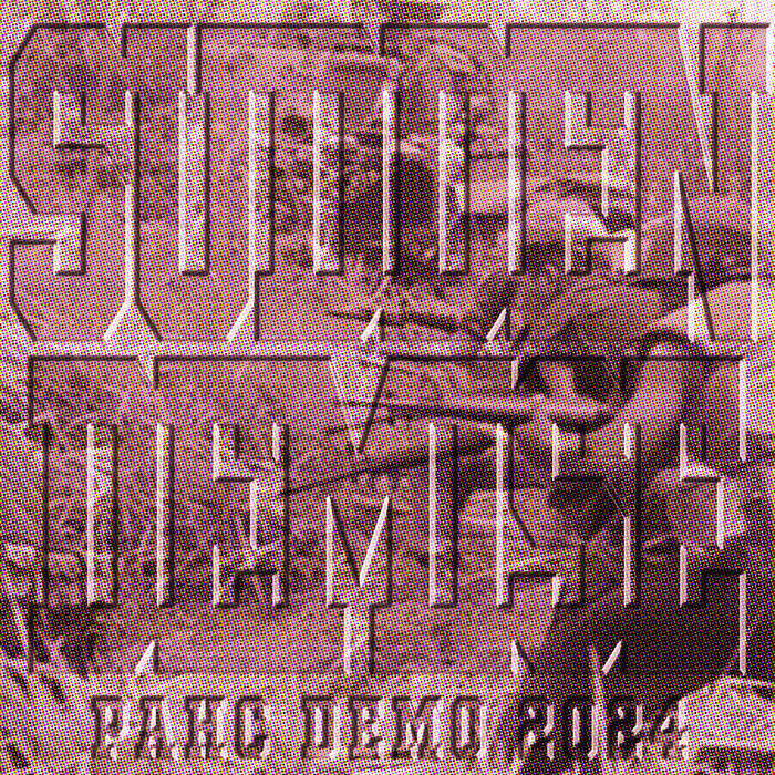 Sudden Demise Demo 2024 | Rebirth Records