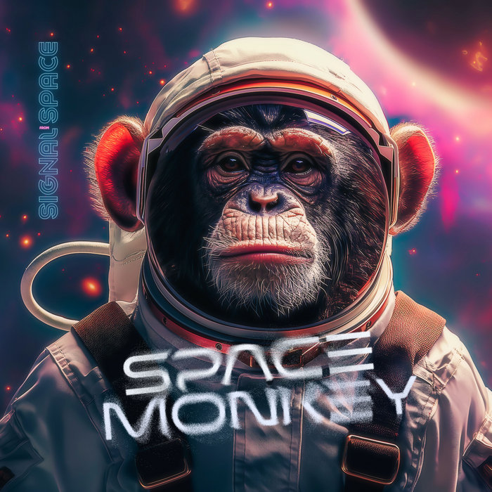 Space Monkey | Signal from Space