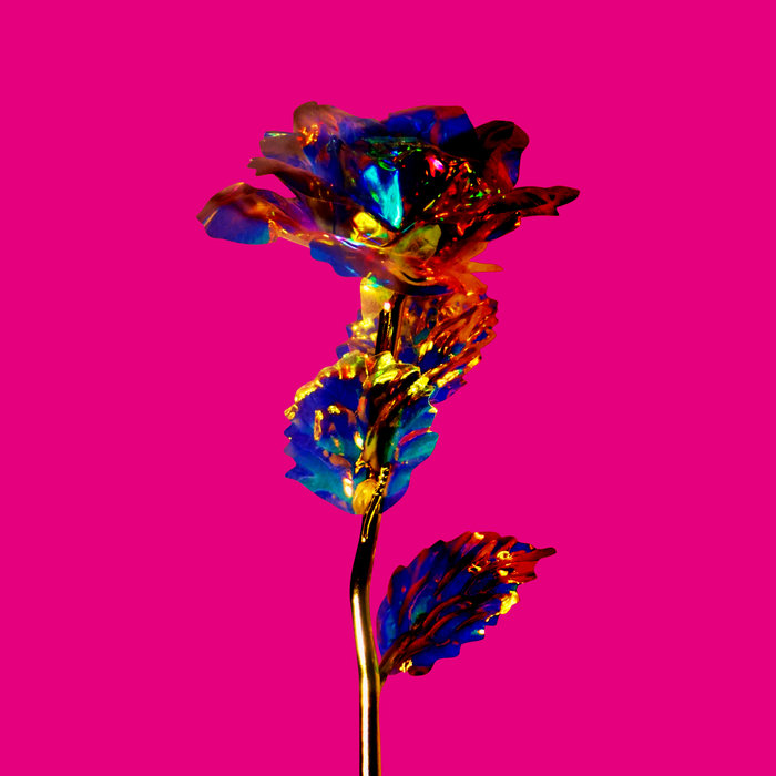 Eros Culture Crush Hawaii Bonsaï Records