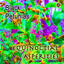 Equinoctial Asperities EP cover art