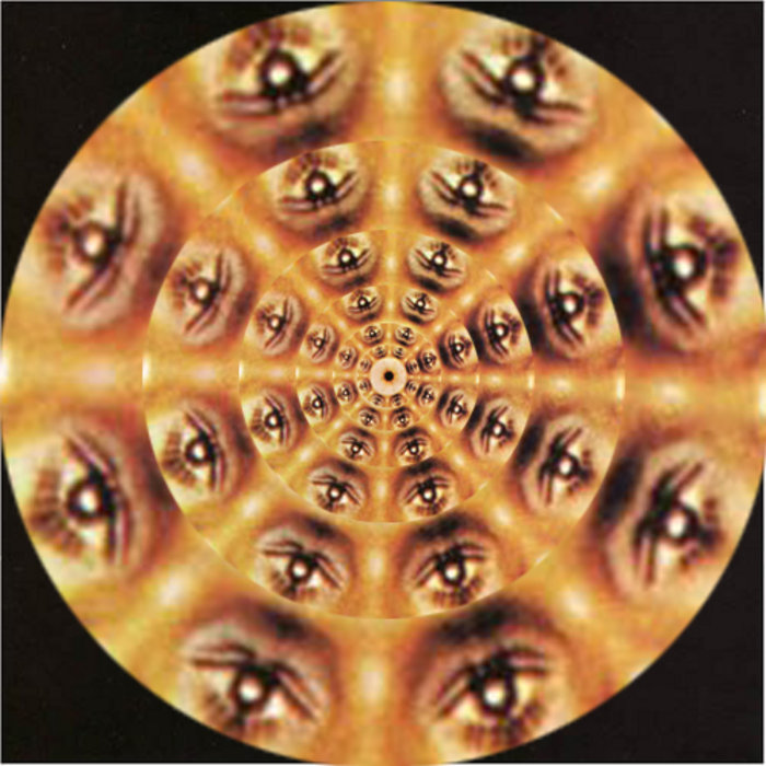 Award Winning Songs by Lead Paint Zeppelin Lead Paint Zeppelin