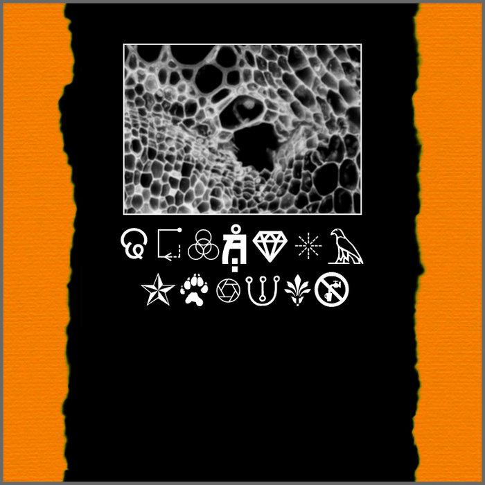 ᑕ υ ʟ ƚ µ Ŕ λ Ꮭ Ƥ Ř Ø Ꭾ Δ Ǥ ค Ո ძ å ƛ Ʀ Ƈ Ӈ