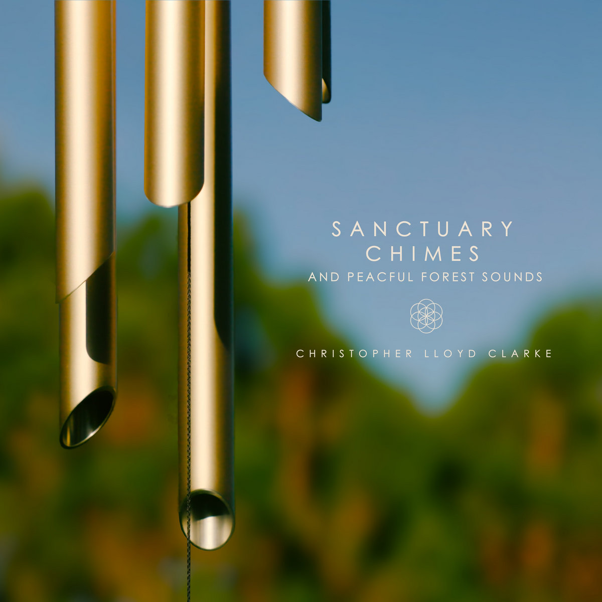 Sanctuary Chimes and Peaceful Forest Sounds | Christopher Lloyd Clarke