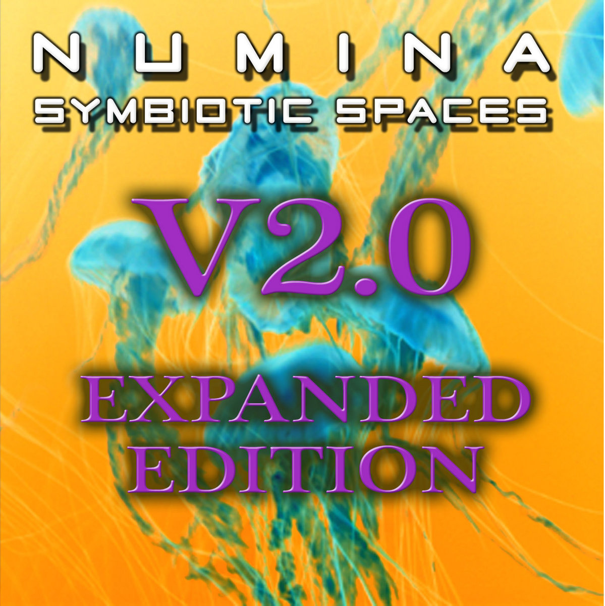 Anemone Version 3 Numina