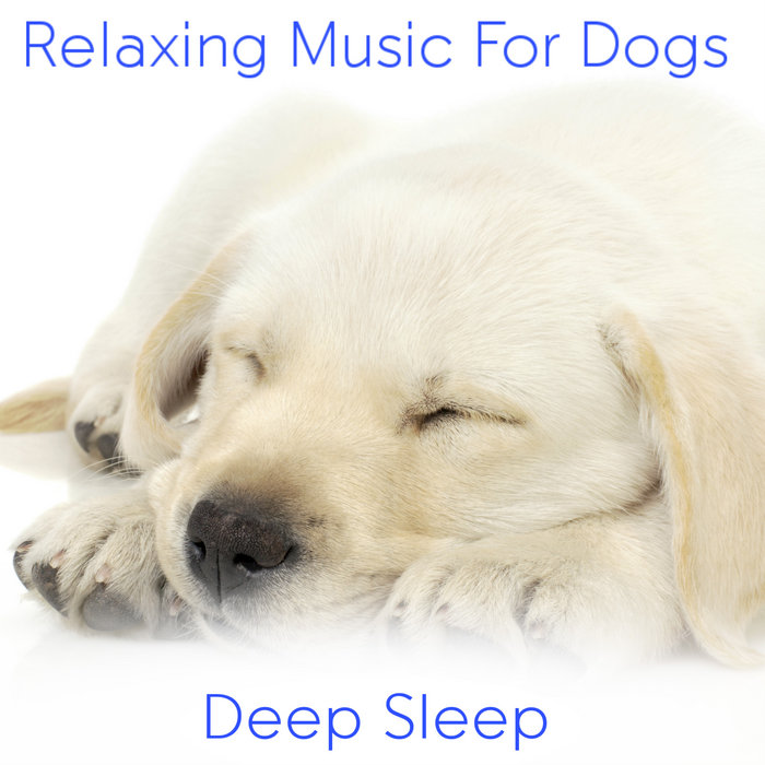 Relaxing Music For Dogs Various Artists Deep Sleep Records