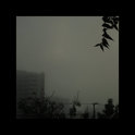 we were gods cover art