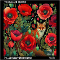 Velvet Dub Collective: Francesco Tamburrano — The Legacy Behind