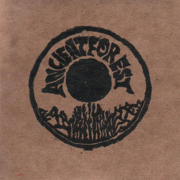 Ancient Forest | Ancient Forest